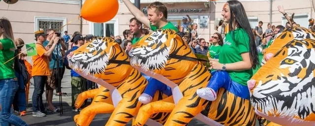 Во Владивостоке отменили праздничные мероприятия в честь Дня тигра